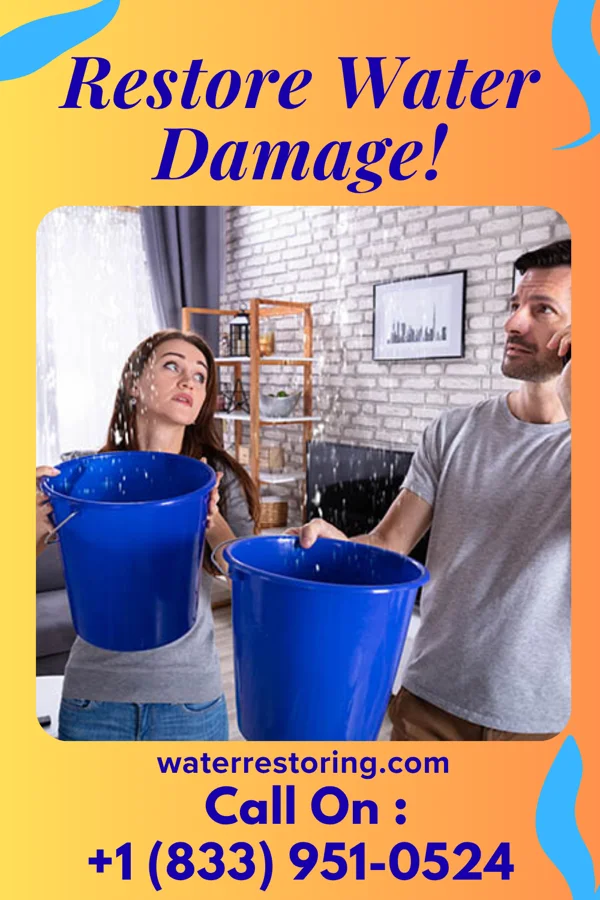 water restoration Rapid Cleanup Company Ogden Dunes