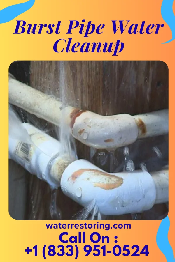 Burst Pipe Water Cleanup in Ogden Dunes, IN