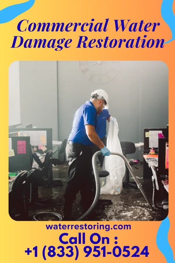 Commercial Water Damage Restoration in Ogden Dunes, IN