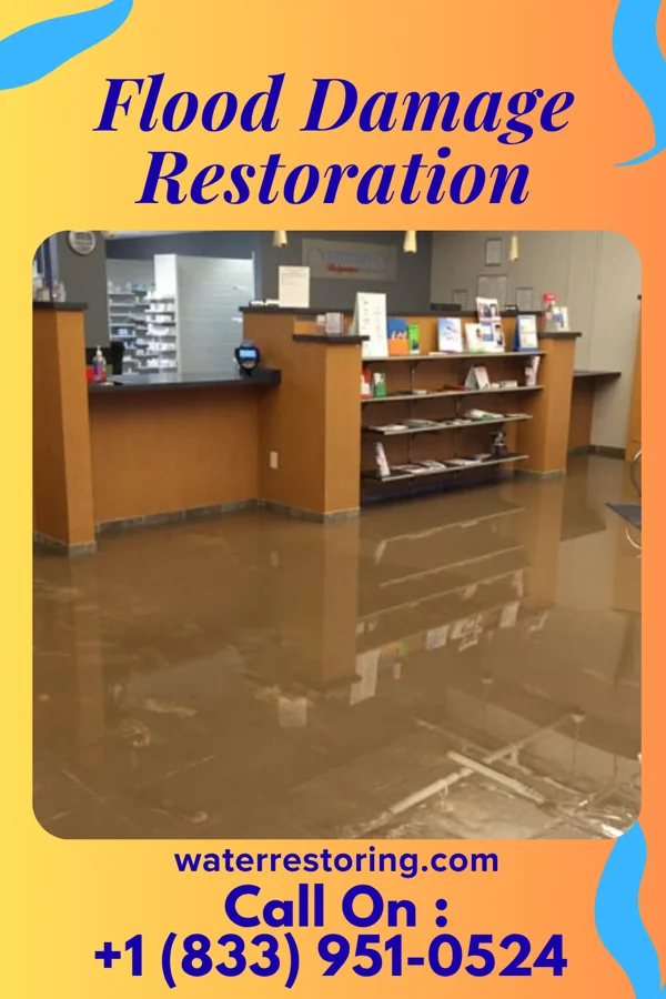 Flood Damage Restoration in Ogden Dunes, IN